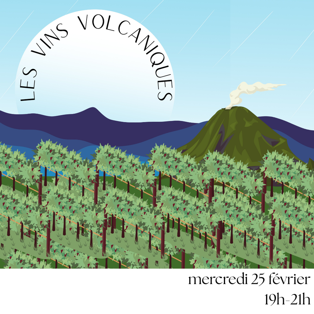 Les vins volcaniques