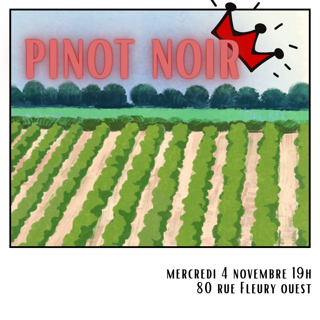 Pinot noir, roi des rouges