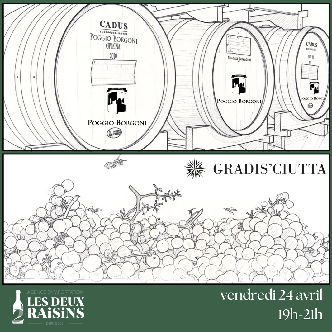Toscane & Frioul : dégustation croisée
