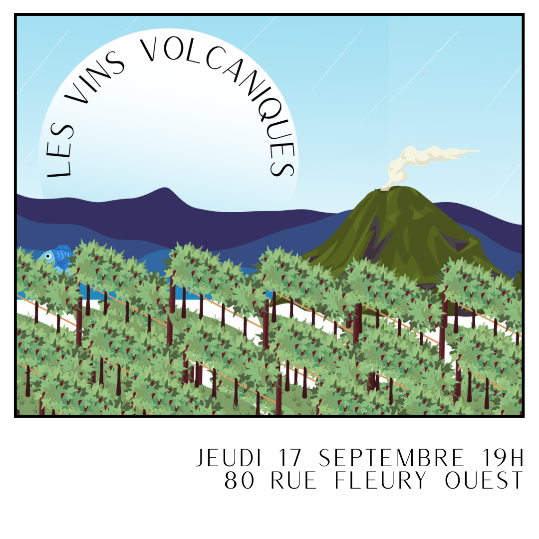 Les vins volcaniques